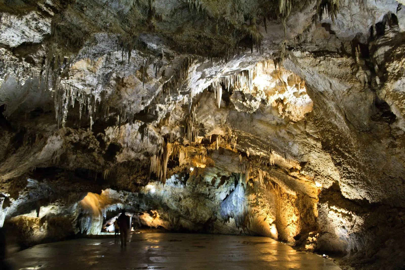 Lipa Cave, Montenegro